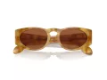 Giorgio Armani Gafas de Sol AR 8216 597973