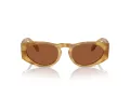 Giorgio Armani Gafas de Sol AR 8216 597973