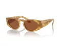 Giorgio Armani Gafas de Sol AR 8216 597973