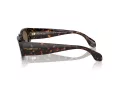 Giorgio Armani Gafas de Sol AR 8216 612473
