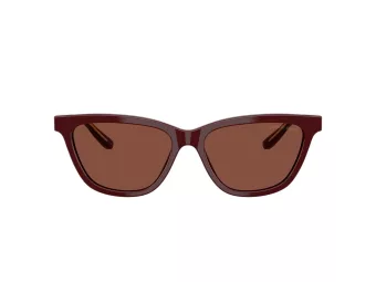 Giorgio Armani Gafas de Sol AR 8221 5955C5