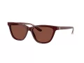 Giorgio Armani Gafas de Sol AR 8221 5955C5