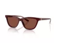 Giorgio Armani Gafas de Sol AR 8221 5955C5