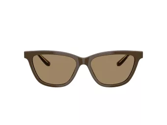 Giorgio Armani Gafas de Sol AR 8221 595753