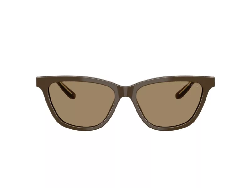 Giorgio Armani Gafas de Sol AR 8221 595753