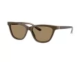 Giorgio Armani Gafas de Sol AR 8221 595753