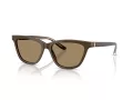Giorgio Armani Gafas de Sol AR 8221 595753