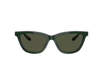Giorgio Armani Gafas de Sol AR 8221 617331