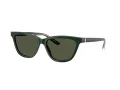Giorgio Armani Gafas de Sol AR 8221 617331