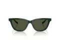 Giorgio Armani Gafas de Sol AR 8221 617331