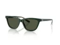 Giorgio Armani Gafas de Sol AR 8221 617331