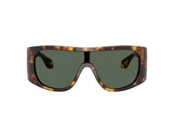 Giorgio Armani Gafas de Sol AR 8222U 509271