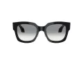 Giorgio Armani Gafas de Sol AR 8223 500111