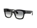 Giorgio Armani Gafas de Sol AR 8223 500111