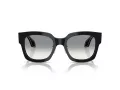 Giorgio Armani Gafas de Sol AR 8223 500111