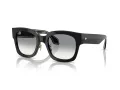 Giorgio Armani Gafas de Sol AR 8223 500111