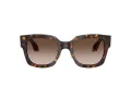 Giorgio Armani Gafas de Sol AR 8223 502613