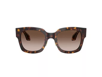 Giorgio Armani Gafas de Sol AR 8223 502613
