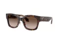 Giorgio Armani Gafas de Sol AR 8223 502613