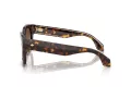 Giorgio Armani Gafas de Sol AR 8223 502613