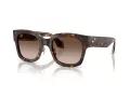 Giorgio Armani Gafas de Sol AR 8223 502613