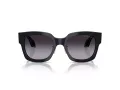 Giorgio Armani Gafas de Sol AR 8223 61608G