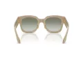 Giorgio Armani Gafas de Sol AR 8223 61618E