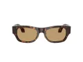 Giorgio Armani Gafas de Sol AR 8224 502673