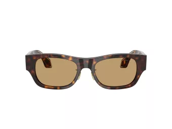 Giorgio Armani Gafas de Sol AR 8224 502673