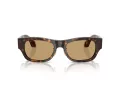 Giorgio Armani Gafas de Sol AR 8224 502673