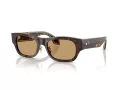 Giorgio Armani Gafas de Sol AR 8224 502673