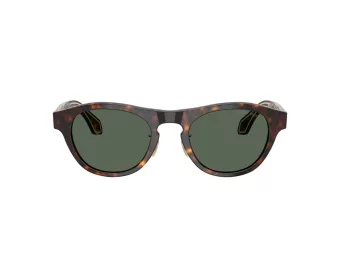 Giorgio Armani Gafas de Sol AR 8225 502671