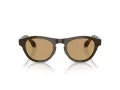 Giorgio Armani Gafas de Sol AR 8225 619473
