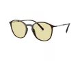 Giorgio Armani Gafas de Sol AR 8233U 6239M4