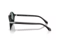 Giorgio Armani Gafas de Sol AR 8236U 507556