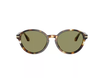 Giorgio Armani Gafas de Sol AR 8237 623214