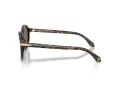 Giorgio Armani Gafas de Sol AR 8237 623573