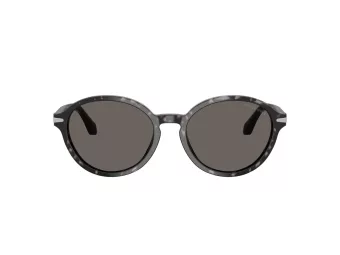 Giorgio Armani Gafas de Sol AR 8237 6236B1