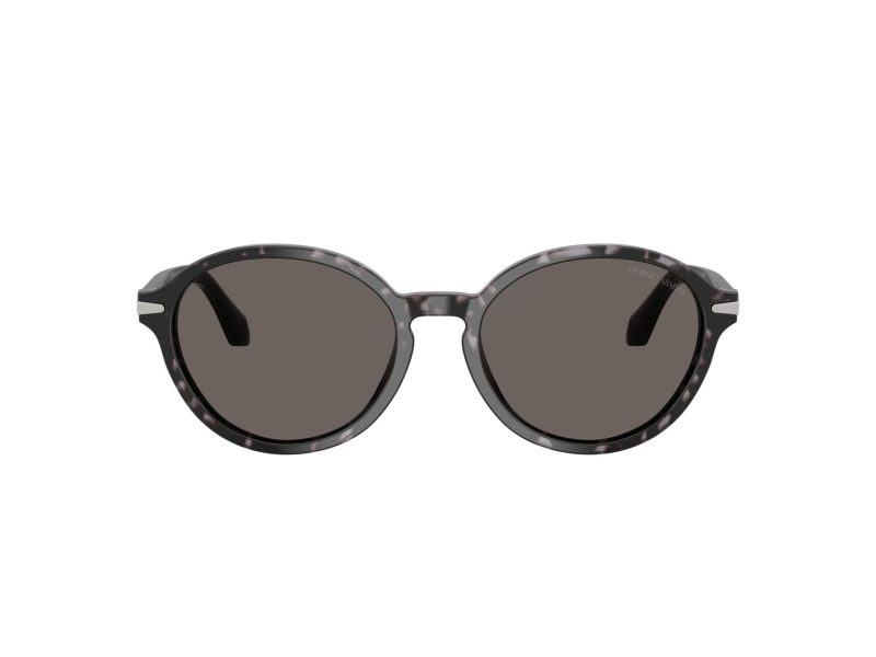 Giorgio Armani Gafas de Sol AR 8237 6236B1