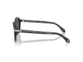Giorgio Armani Gafas de Sol AR 8237 6236B1