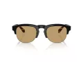 Giorgio Armani Gafas de Sol AR 8238 587573