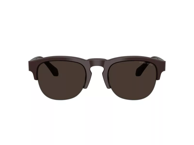Giorgio Armani Gafas de Sol AR 8238 622073