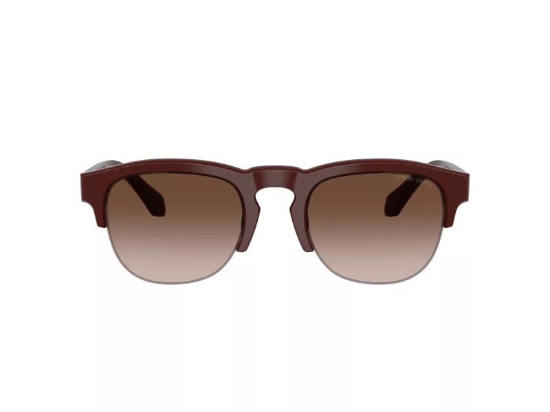 Giorgio Armani Gafas de Sol AR 8238 622113