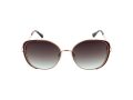 Bulget Gafas de Sol BG 3329 07A