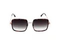 Bulget Gafas de Sol BG Y3006 G22