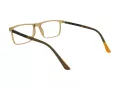 Berkeley Gafas para ordenador BB H6520 C2 52