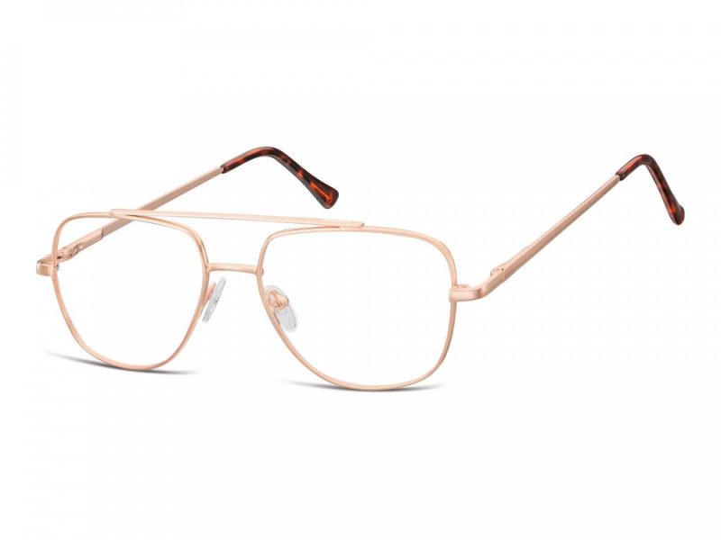 Berkeley Gafas para ordenador 787D
