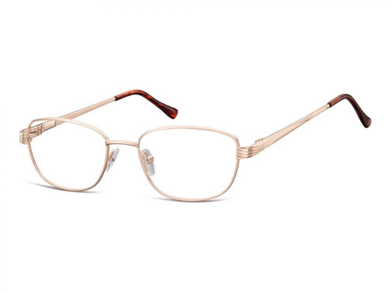 Berkeley Gafas para ordenador 796 C