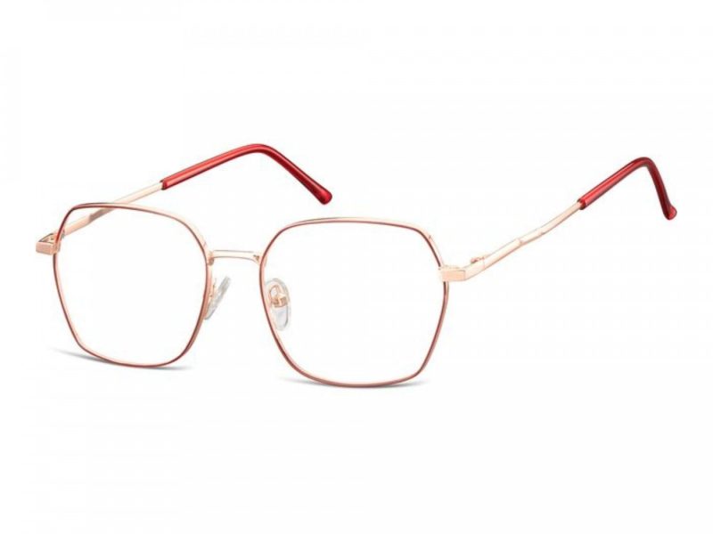 Berkeley Gafas para ordenador 913