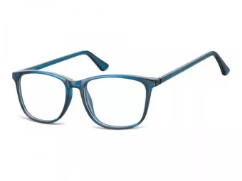 Berkeley Gafas para ordenador CP141 D